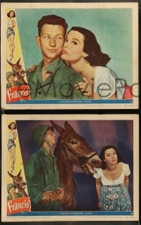 9r562 FRANCIS THE TALKING MULE 6 LCs 1949 great art of Donald O'Connor, Patricia Medina & donkey!
