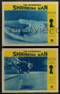 9r210 INCREDIBLE SHRINKING MAN 8 LCs R1964 Jack Arnold, Grant Williams, cool special effects images!