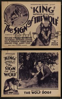 9r363 SIGN OF THE WOLF 8 chapter 6 LCs 1931 serial from Jack London's story, The Wolf Dogs!