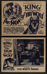 9r362 SIGN OF THE WOLF 8 chapter 3 LCs 1931 serial from Jack London, King, The Wolf's Fangs!