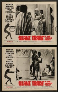 9r369 SLAVE TRADE IN THE WORLD TODAY 8 LCs 1965 the smuggled motion pictures of a sheik's harem!