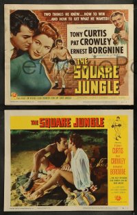 9r386 SQUARE JUNGLE 8 LCs 1956 Pat Crowley, Borgnine, boxing Tony Curtis fighting in the ring!