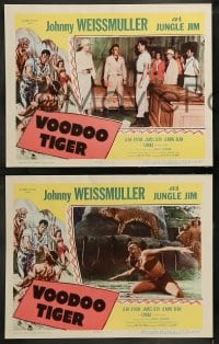 9r856 VOODOO TIGER 3 LCs 1952 Johnny Weissmuller as Jungle Jim & sexy Jeanne Dean!