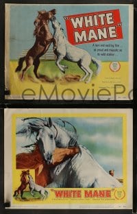9r471 WHITE MANE 8 LCs 1954 with tc art of image of brown & white majestic wild stallions fighting!