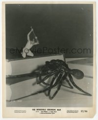 9s468 INCREDIBLE SHRINKING MAN 8x10 still 1957 tiny Grant Williams with big nail & huge tarantula!