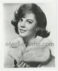 9s671 NATALIE WOOD 8.25x10 still 1960 sexy portrait in fur coat from All the Fine Young Cannibals!
