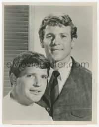 9s728 PEYTON PLACE TV 7x9 still 1967 Christopher Connelly as Norman & young Ryan O'Neal as Rodney!