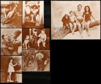 1a143 LOT OF 7 REPRO 11X14 STILLS 1980s Groucho Marx, Our Gang, Shirley Temple, Tarzan & more!