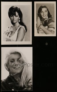 1a482 LOT OF 3 PHOTOS OF SEXY WOMEN 1950s Claudia Cardinale, Pier Angeli, Catherine Deneuve!
