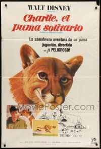 1g443 CHARLIE THE LONESOME COUGAR Argentinean 1967 Disney, art of smiling teen-age mountain lion!