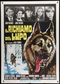 1g263 GREAT ADVENTURE Italian 1p 1975 art of Jack Palance & wolf, Jack London's Call of the Wild!