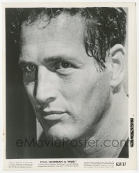 1h439 HUD 8x10.25 still 1963 super close portrait of intense Paul Newman drenched in sweat!