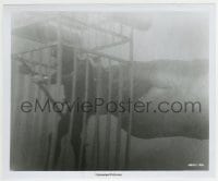 1h039 JAWS 8.25x10 still 1975 Richard Dreyfuss in underwater cage confronts Bruce the shark!