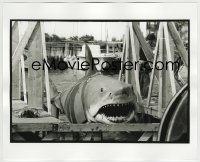 1h031 JAWS deluxe candid 8x10 file photo 1975 c/u of Bruce the shark tied up in harbor by Goldman!