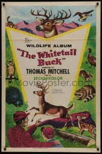 1j970 WHITETAIL BUCK 1sh 1955 RKO nature documentary, art of deer & forest animals!