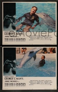 1k091 DAY OF THE DOLPHIN 8 LCs 1973 George C. Scott & Trish Van Devere, Mike Nichols