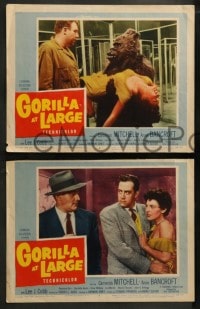 1k744 GORILLA AT LARGE 3 LCs 1954 sexy Anne Bancroft, Raymond Burr, Mitchell, wacky ape!
