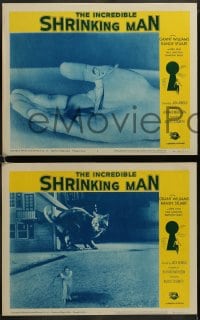 1k414 INCREDIBLE SHRINKING MAN 7 LCs R1964 Jack Arnold classic, cool different images!