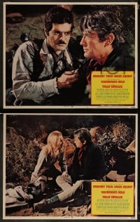 1k201 MacKENNA'S GOLD 8 LCs 1969 great images of cowboys Gregory Peck & Omar Sharif, western!