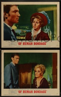 1k483 OF HUMAN BONDAGE 6 LCs 1964 sexy Kim Novak, Laurence Harvey, Jack Hedley!