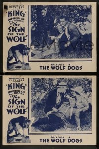 1k572 SIGN OF THE WOLF 5 chapter 6 LCs 1931 serial from Jack London's story, The Wolf Dogs!