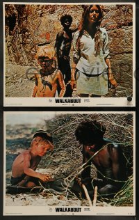 1k359 WALKABOUT 8 LCs 1971 Jenny Agutter in the Outback w/David Gulpilil, Nicolas Roeg classic!