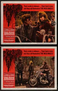 1k369 WILD ANGELS 8 LCs 1966 classic border art of biker Peter Fonda & gang on motorcycles!