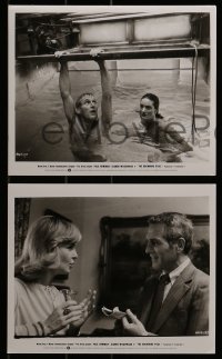 1s398 DROWNING POOL 8 from 8x8 to 8x10 stills 1975 Paul Newman, Joanne Woodward, Richard Jaeckel!