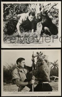 1s610 JUNGLE MAN-EATERS 5 8x10 stills 1954 Johnny Weissmuller as Jungle Jim w/ Tamba the chimp!