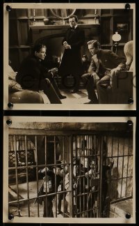 1s808 MYSTERY OF EDWIN DROOD 3 8x10 stills 1934 addict Claude Rains, Heather Angel, Charles Dickens