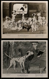 1s318 ONE HUNDRED & ONE DALMATIANS 10 8x10 stills 1961 Disney cartoon classic, Cruella De Vil!