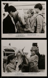 1s636 RIDE A WILD PONY 5 8x10 stills 1976 Walt Disney, cool images of boy, horse and train!