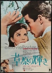 1t956 SPLENDOR IN THE GRASS Japanese R1972 Natalie Wood with Warren Beatty, directed by Elia Kazan!