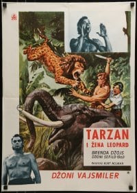 1t345 TARZAN & THE LEOPARD WOMAN Yugoslavian 20x28 1960s art of Johnny Weissmuller fighting lion!