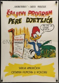 1t352 WOODY WOODPECKER Yugoslavian 20x27 1960s great art of the character next to sign!