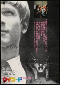 1y304 WILLARD Japanese 1971 creepy close up of Bruce Davison with pet rat!