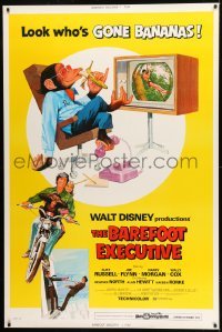 1z213 BAREFOOT EXECUTIVE 40x60 1971 Disney, art of Kurt Russell & wacky chimp gone bananas!