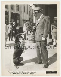 2a544 IT SHOULDN'T HAPPEN TO A DOG 8x10.25 still 1946 Doberman offers Harry Morgan a newspaper!