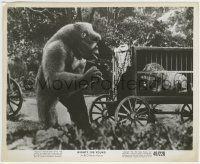 2a680 MIGHTY JOE YOUNG 8.25x10 still 1949 special effects scene with the ape by lion in wagon!