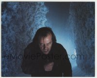 2a080 SHINING 8x10 mini LC 1980 great close up of crazy Jack Nicholson in hedge maze, Kubrick!