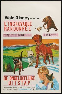 2b790 INCREDIBLE JOURNEY Belgian R1970s Disney, Bull Terrier, Siamese cat & Labrador Retriever!