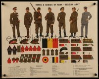 2d119 RANKS & BADGES OF RANK BELGIAN ARMY 14x17 English WWII war poster 1940 Belgian insignia