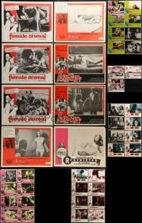 2g151 LOT OF 43 SEXPLOITATION LOBBY CARDS 1960s-1970s incomplete sets from sexy movies!