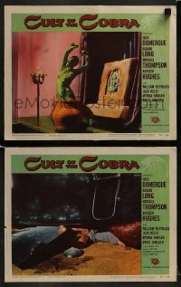 2h819 CULT OF THE COBRA 2 LCs 1955 beauty Faith Domergue changed to a thing of TERROR, great images!
