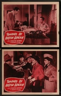 2h973 TRAPPED BY BOSTON BLACKIE 2 LCs 1948 detective Chester Morris killing low-down, high society!