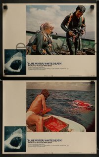 2h058 BLUE WATER, WHITE DEATH 8 LCs 1971 cool images of great white sharks & scuba divers!