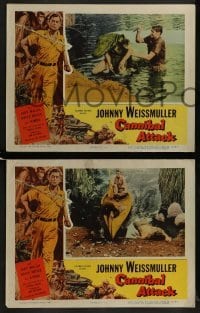 2h579 CANNIBAL ATTACK 4 LCs 1954 border art of Johnny Weissmuller w/knife + cool images!