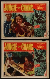 2h203 JUNGLE OF CHANG 8 LCs 1951 Man och Kvinna, filmed midst the perils of wildest Siam!