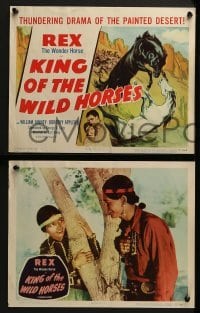 2h211 KING OF THE WILD HORSES 8 LCs R1950 Rex the Wonder Horse is a hate-maddened animal!