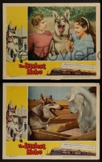 2h489 LITTLEST HOBO 6 LCs 1958 German Shepherd canine dogs and really cool goat & lamb!